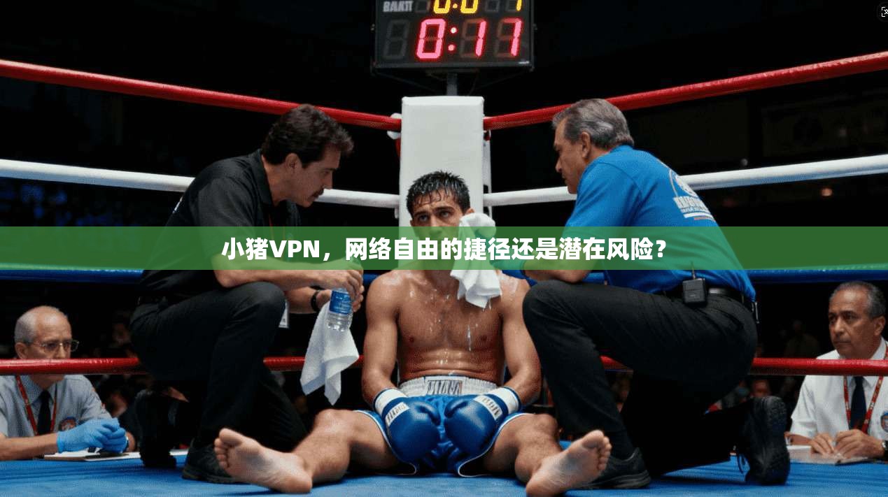 小猪VPN，网络自由的捷径还是潜在风险？  第1张