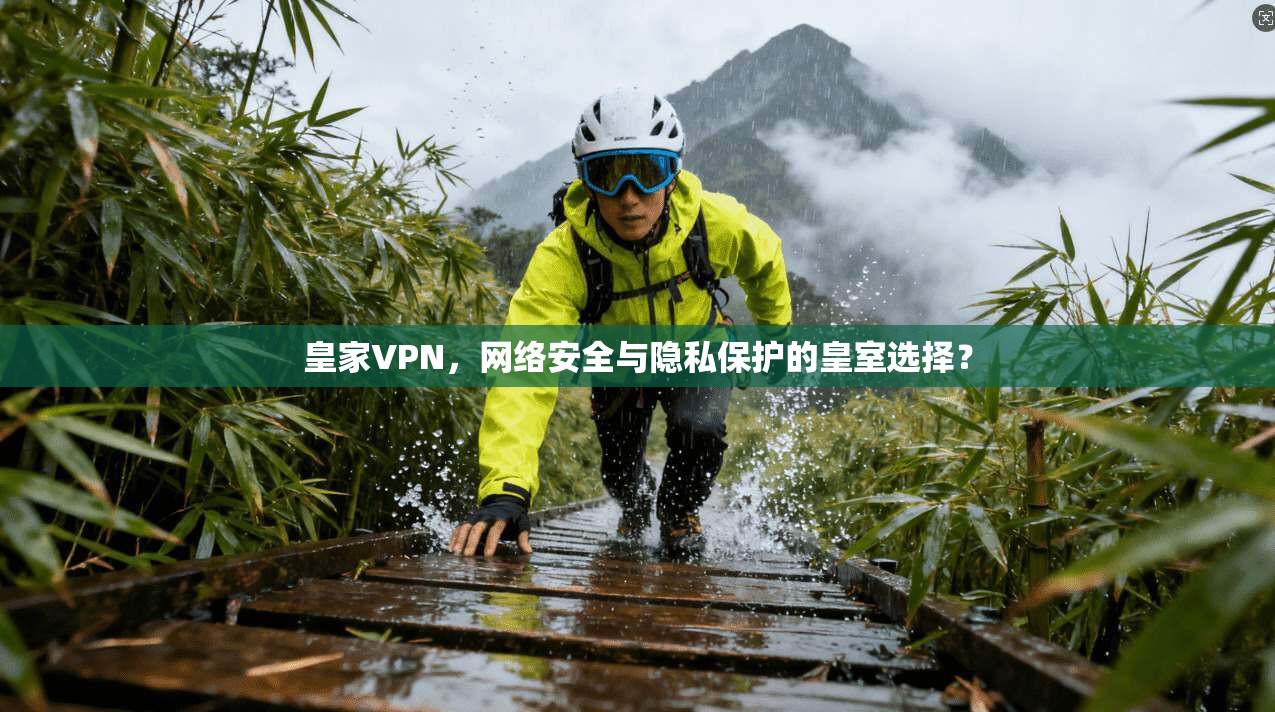 皇家VPN，网络安全与隐私保护的皇室选择？  第1张
