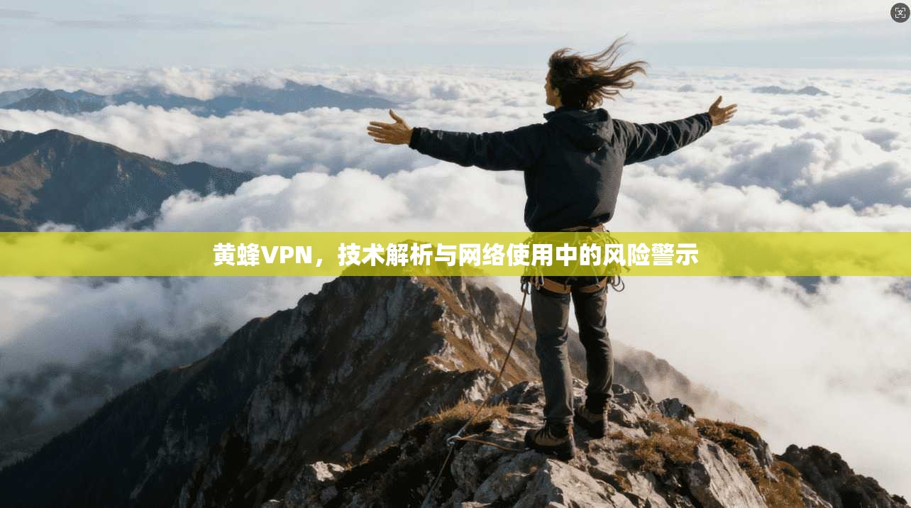 黄蜂VPN，技术解析与网络使用中的风险警示  第1张