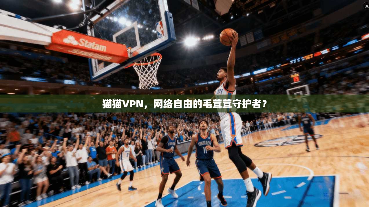 猫猫VPN，网络自由的毛茸茸守护者？  第1张