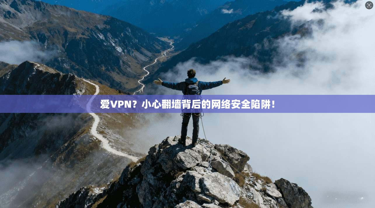 爱VPN？小心翻墙背后的网络安全陷阱！  第1张