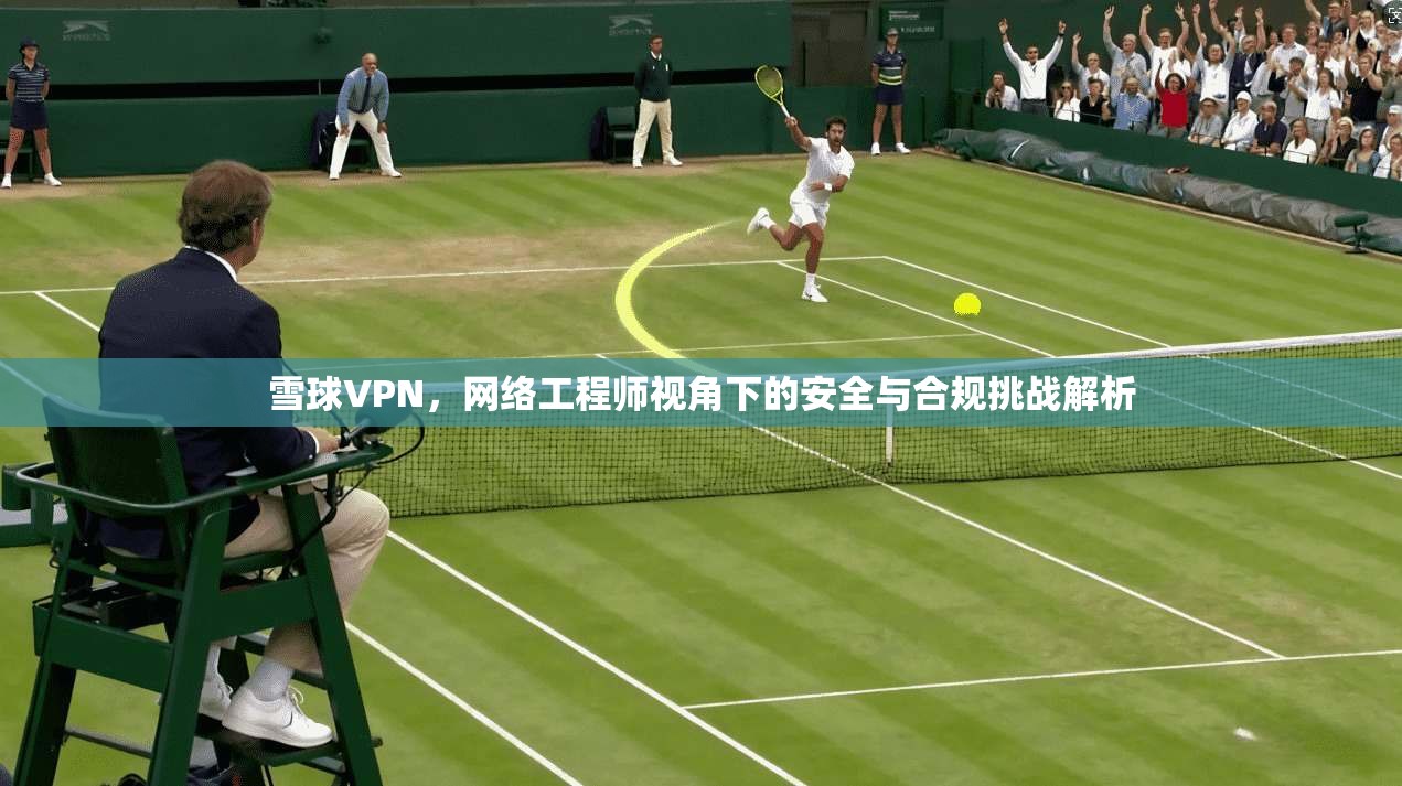 雪球VPN,网络工程师视角下的安全与合规挑战解析 第1张 雪球VPN,网络工程师视角下的安全与合规挑战解析 第1张