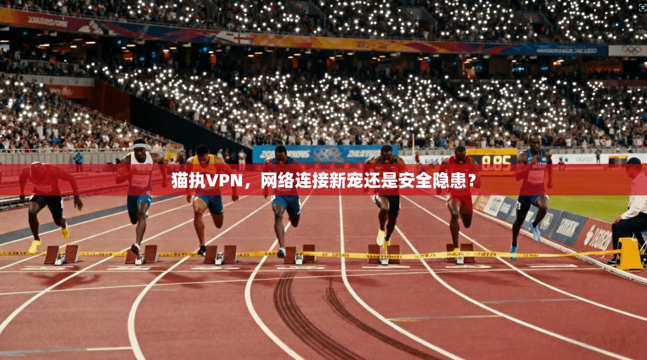 猫执VPN，网络连接新宠还是安全隐患？