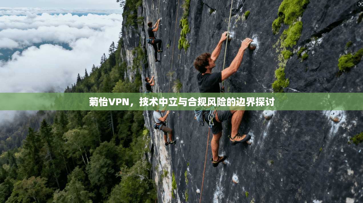 菊怡VPN，技术中立与合规风险的边界探讨