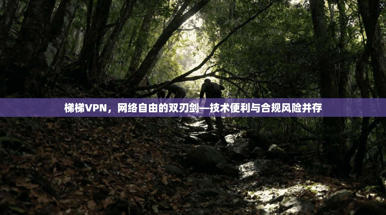 梯梯VPN，网络自由的双刃剑—技术便利与合规风险并存