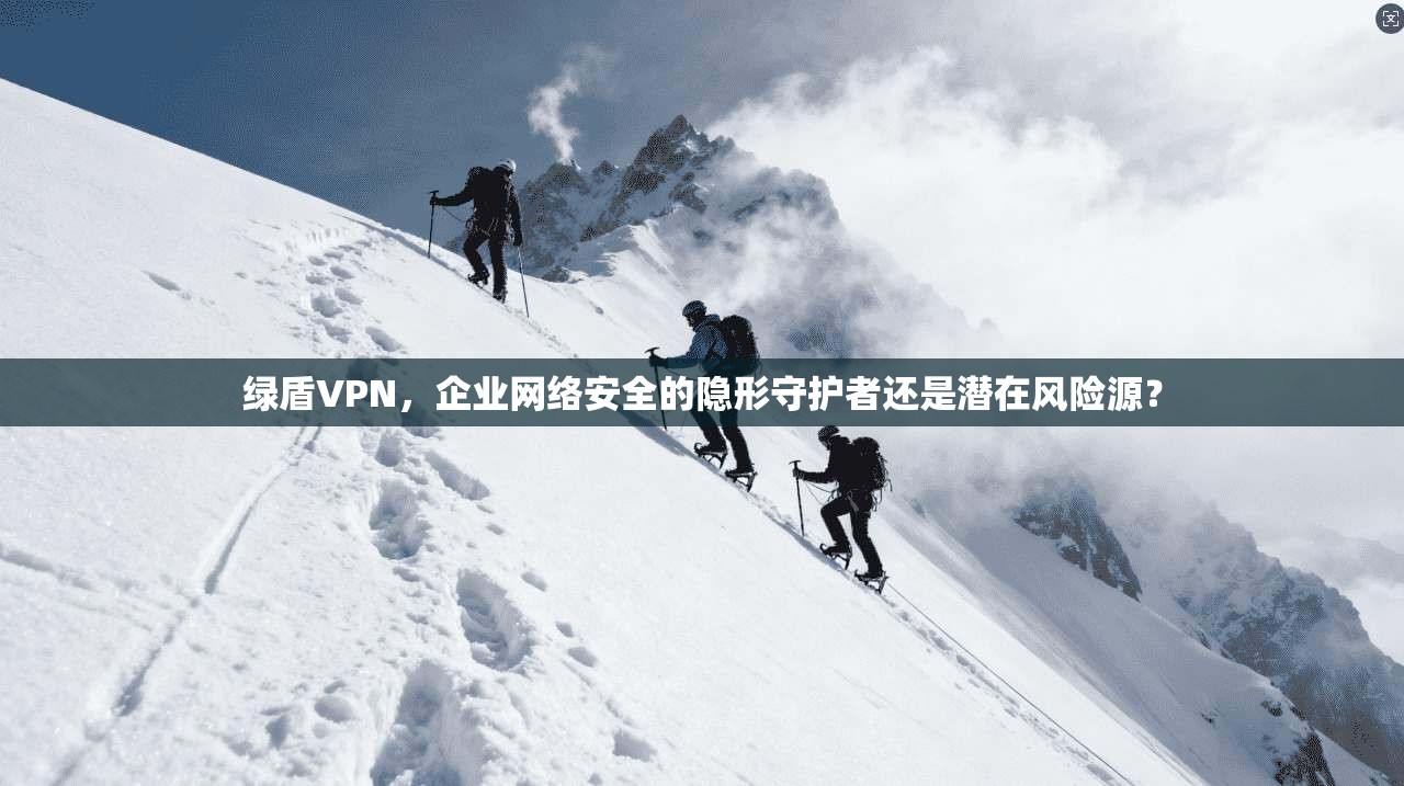 绿盾VPN，企业网络安全的隐形守护者还是潜在风险源？