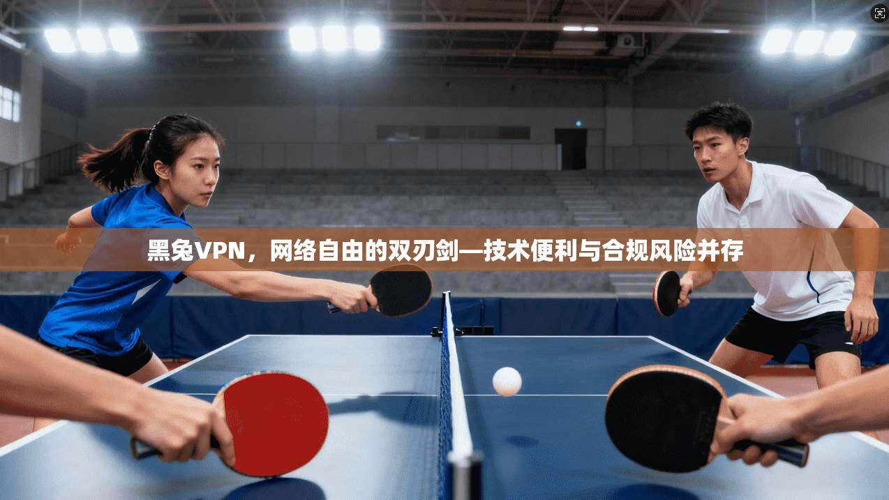 黑兔VPN，网络自由的双刃剑—技术便利与合规风险并存  第1张