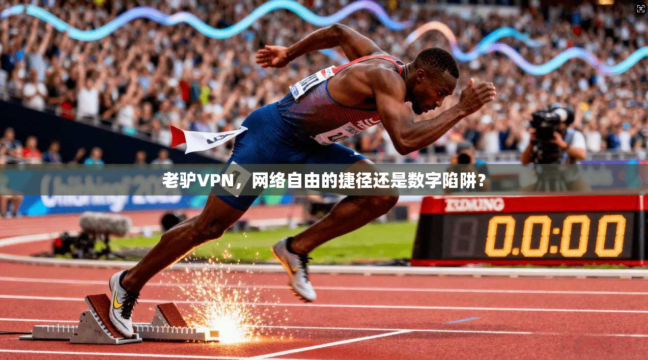 老驴VPN，网络自由的捷径还是数字陷阱？