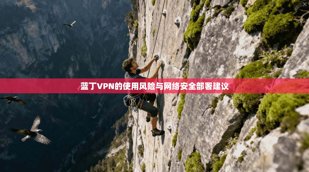 蓝丁VPN的使用风险与网络安全部署建议