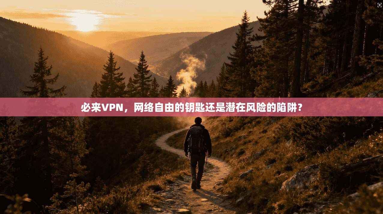 必来VPN，网络自由的钥匙还是潜在风险的陷阱？