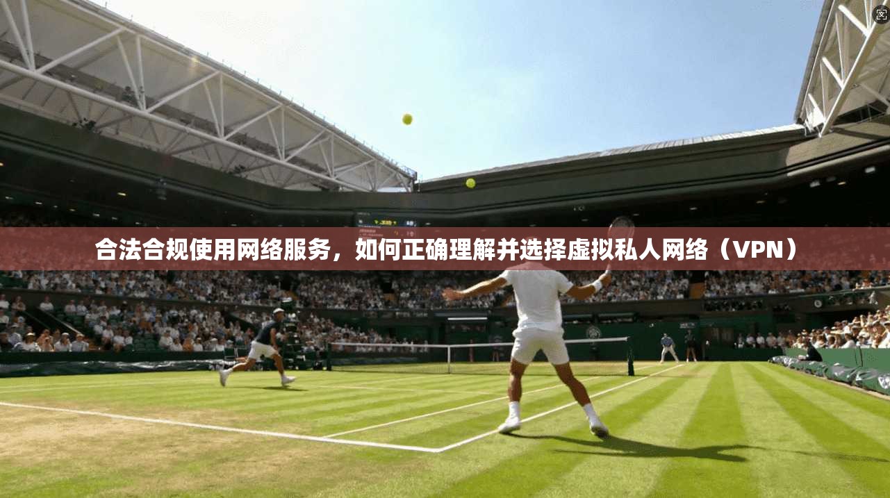 合法合规使用网络服务，如何正确理解并选择虚拟私人网络（VPN）