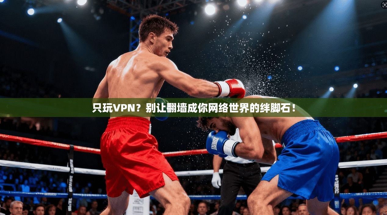 只玩VPN？别让翻墙成你网络世界的绊脚石！