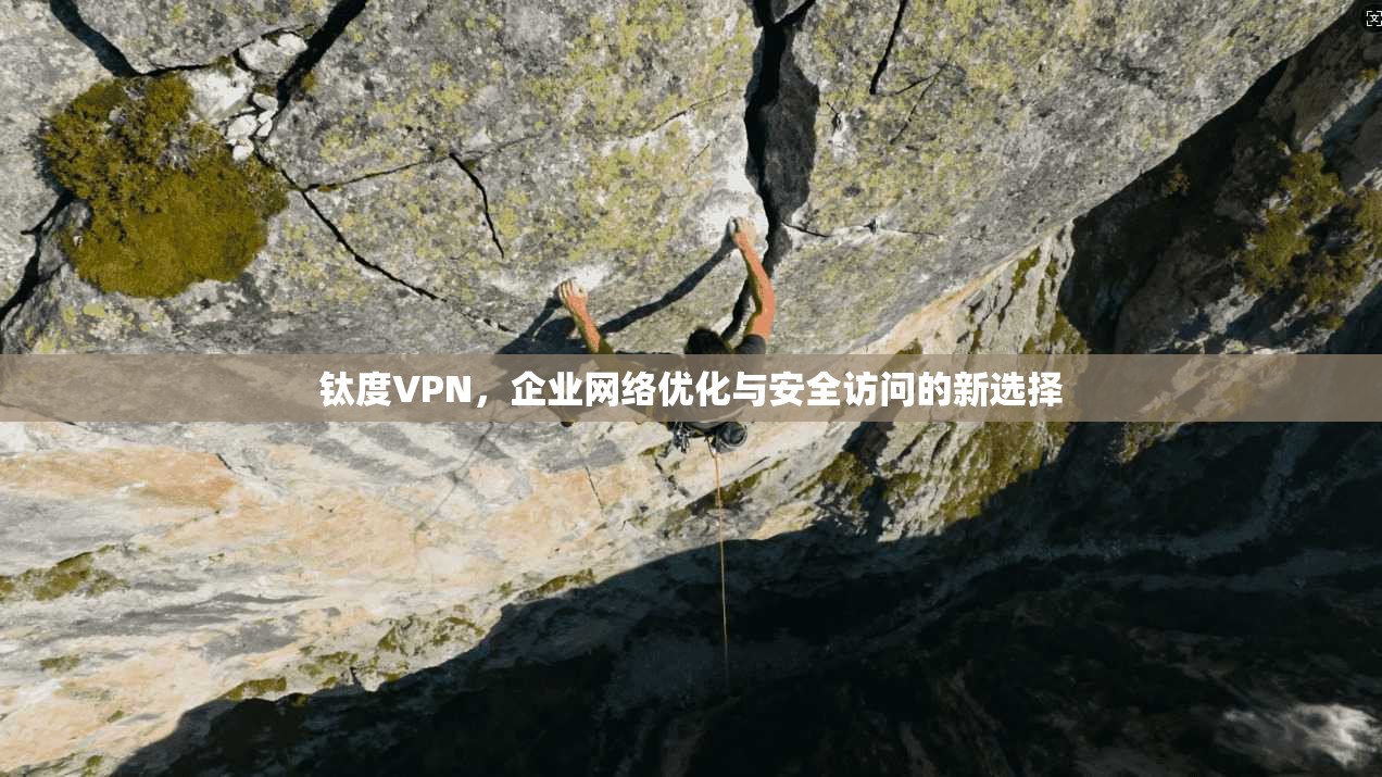 钛度VPN，企业网络优化与安全访问的新选择