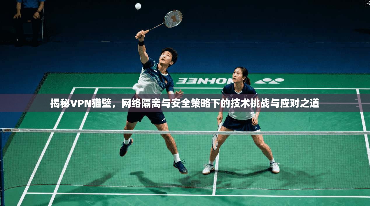 揭秘VPN猫壁,网络隔离与安全策略下的技术挑战与应对之道