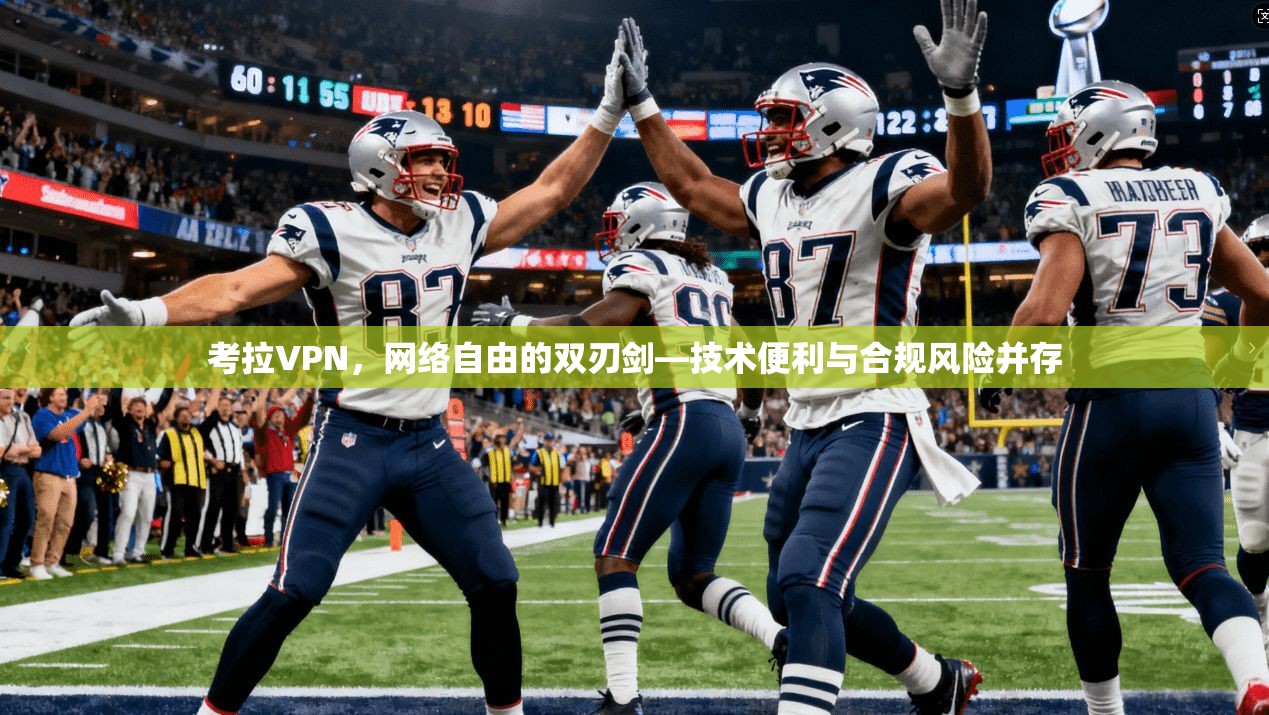 考拉VPN，网络自由的双刃剑—技术便利与合规风险并存  第1张
