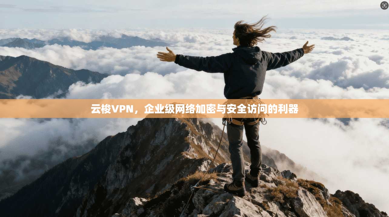 云梭VPN，企业级网络加密与安全访问的利器