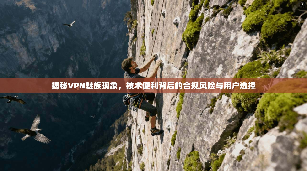 揭秘VPN魅族现象，技术便利背后的合规风险与用户选择