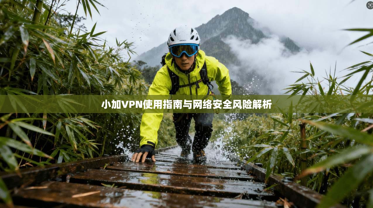 小加VPN使用指南与网络安全风险解析