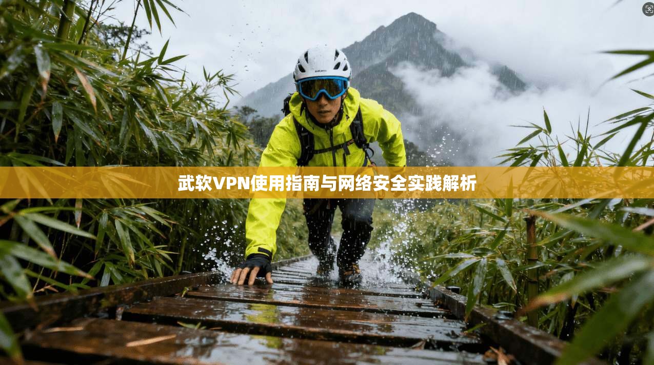 武软VPN使用指南与网络安全实践解析