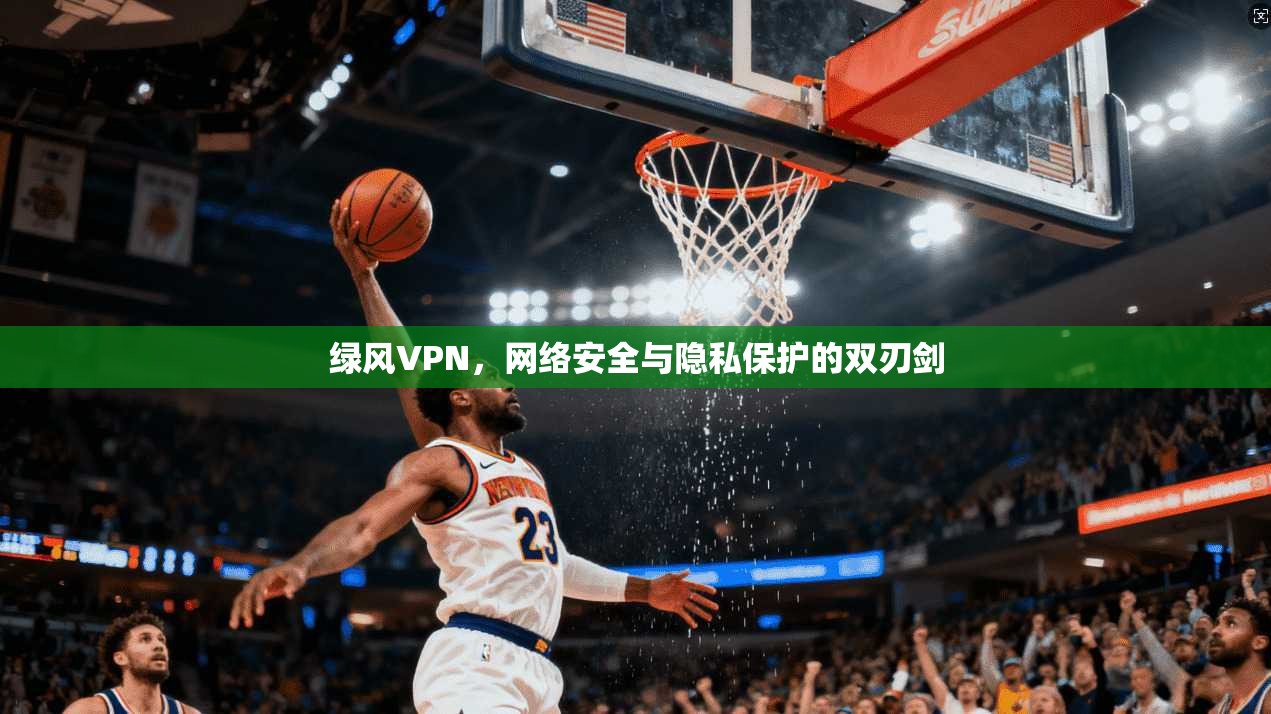 绿风VPN，网络安全与隐私保护的双刃剑