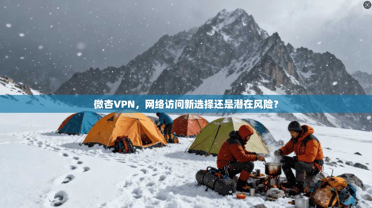 微杏VPN，网络访问新选择还是潜在风险？