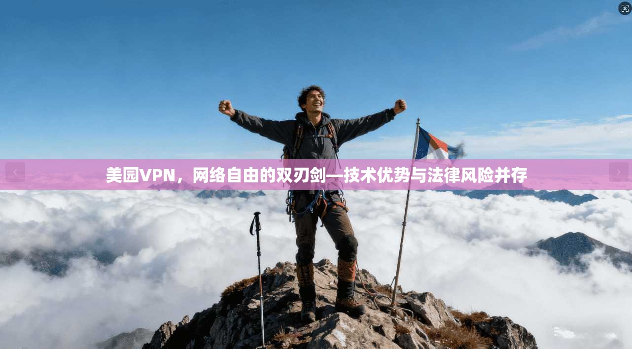 美园VPN，网络自由的双刃剑—技术优势与法律风险并存