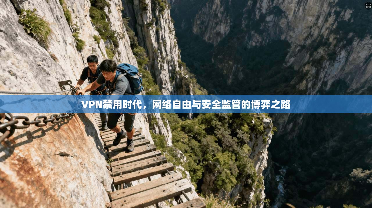 VPN禁用时代，网络自由与安全监管的博弈之路
