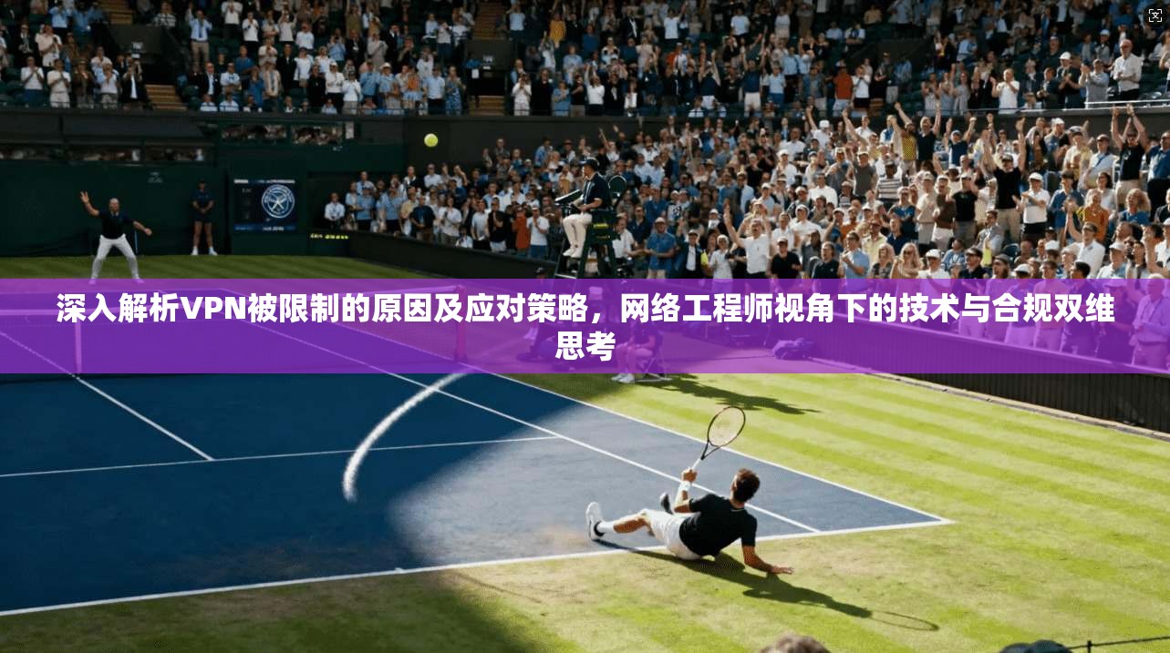 深入解析VPN被限制的原因及应对策略，网络工程师视角下的技术与合规双维思考