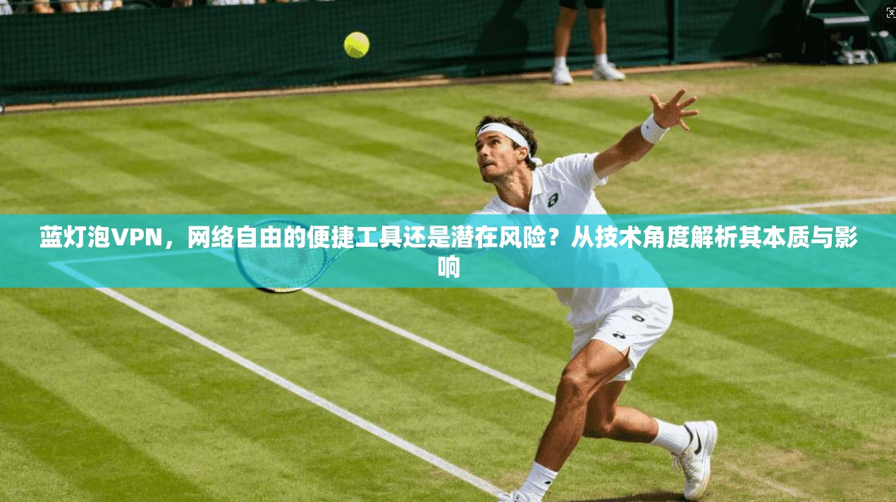 蓝灯泡VPN，网络自由的便捷工具还是潜在风险？从技术角度解析其本质与影响