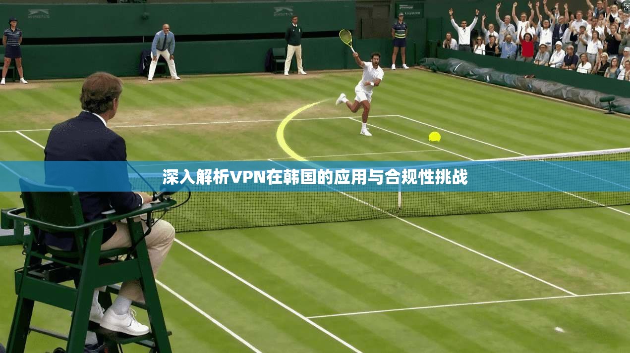 深入解析VPN在韩国的应用与合规性挑战 第1张 深入解析VPN在韩国的应用与合规性挑战 第1张