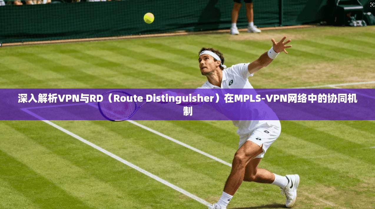 深入解析VPN与RD（Route Distinguisher）在MPLS-VPN网络中的协同机制