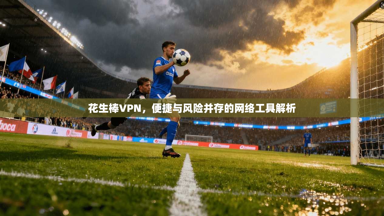花生棒VPN，便捷与风险并存的网络工具解析