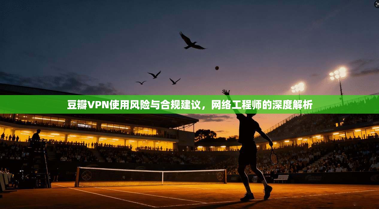 豆瓣VPN使用风险与合规建议，网络工程师的深度解析
