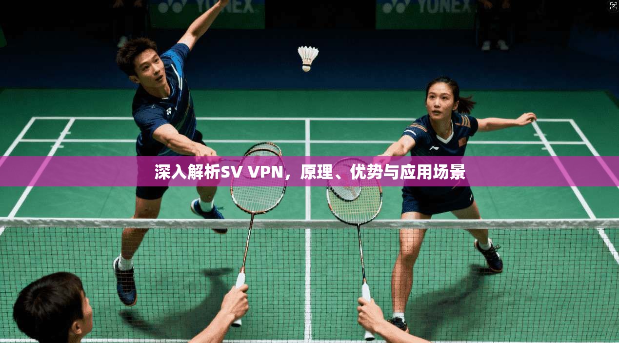 深入解析SV VPN,原理、优势与应用场景 第1张 深入解析SV VPN,原理、优势与应用场景 第1张
