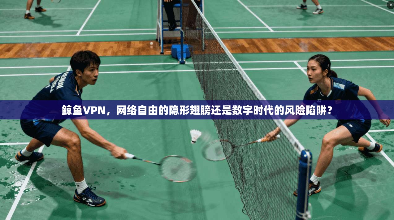 鲸鱼VPN，网络自由的隐形翅膀还是数字时代的风险陷阱？  第1张