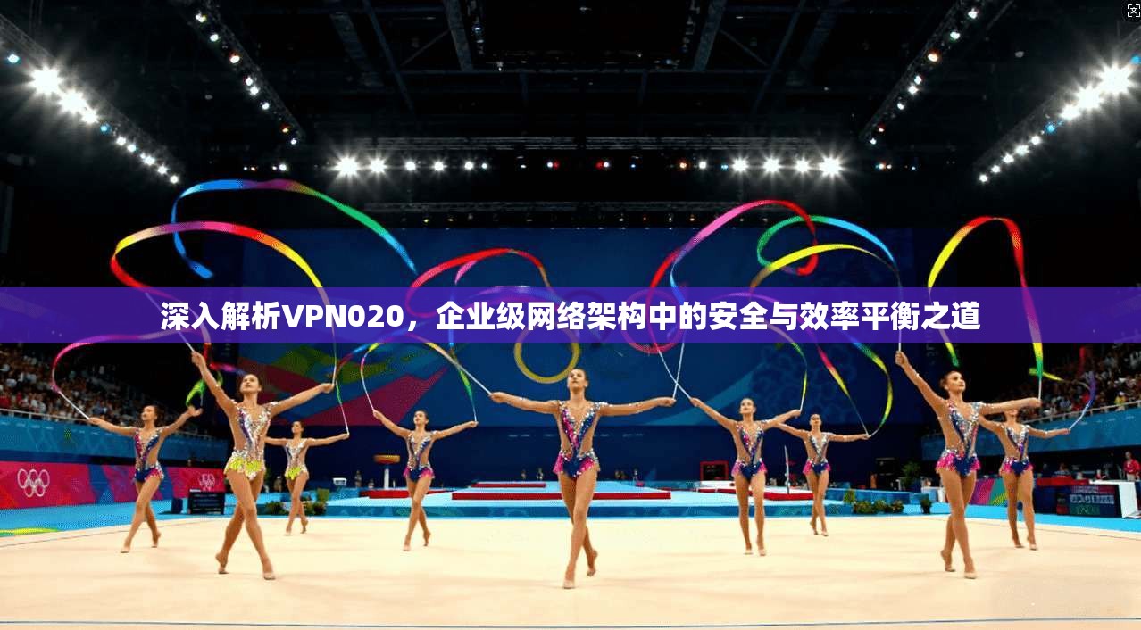 深入解析VPN020，企业级网络架构中的安全与效率平衡之道