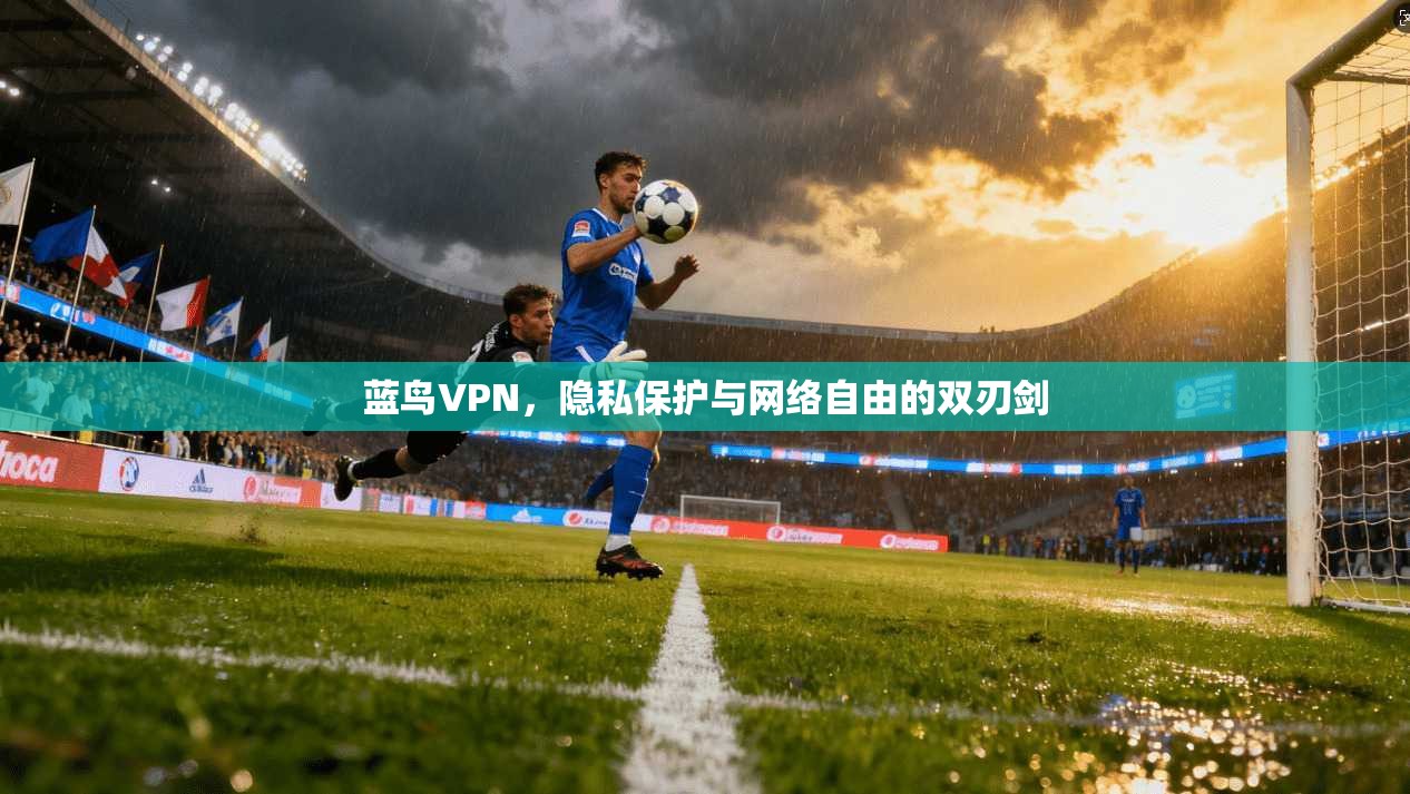 蓝鸟VPN，隐私保护与网络自由的双刃剑