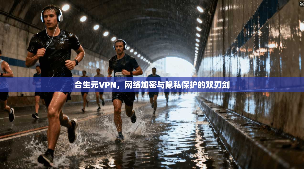 合生元VPN，网络加密与隐私保护的双刃剑