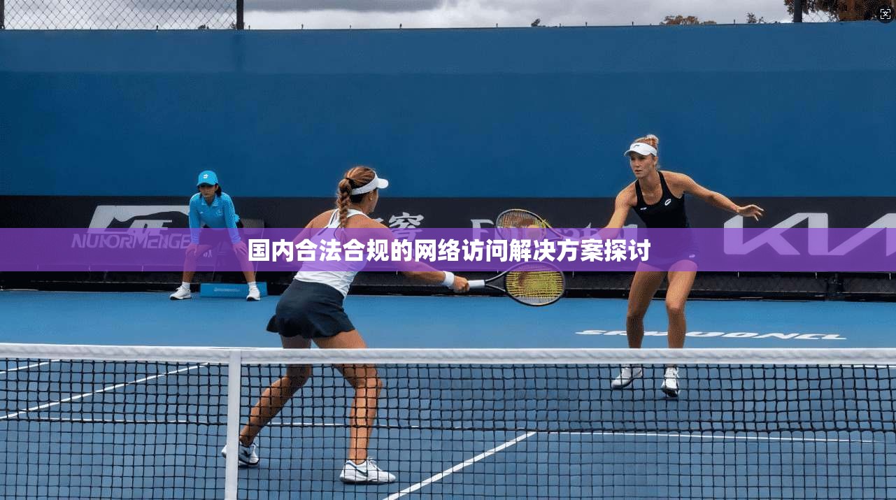 国内合法合规的网络访问解决方案探讨 第1张 国内合法合规的网络访问解决方案探讨 第1张