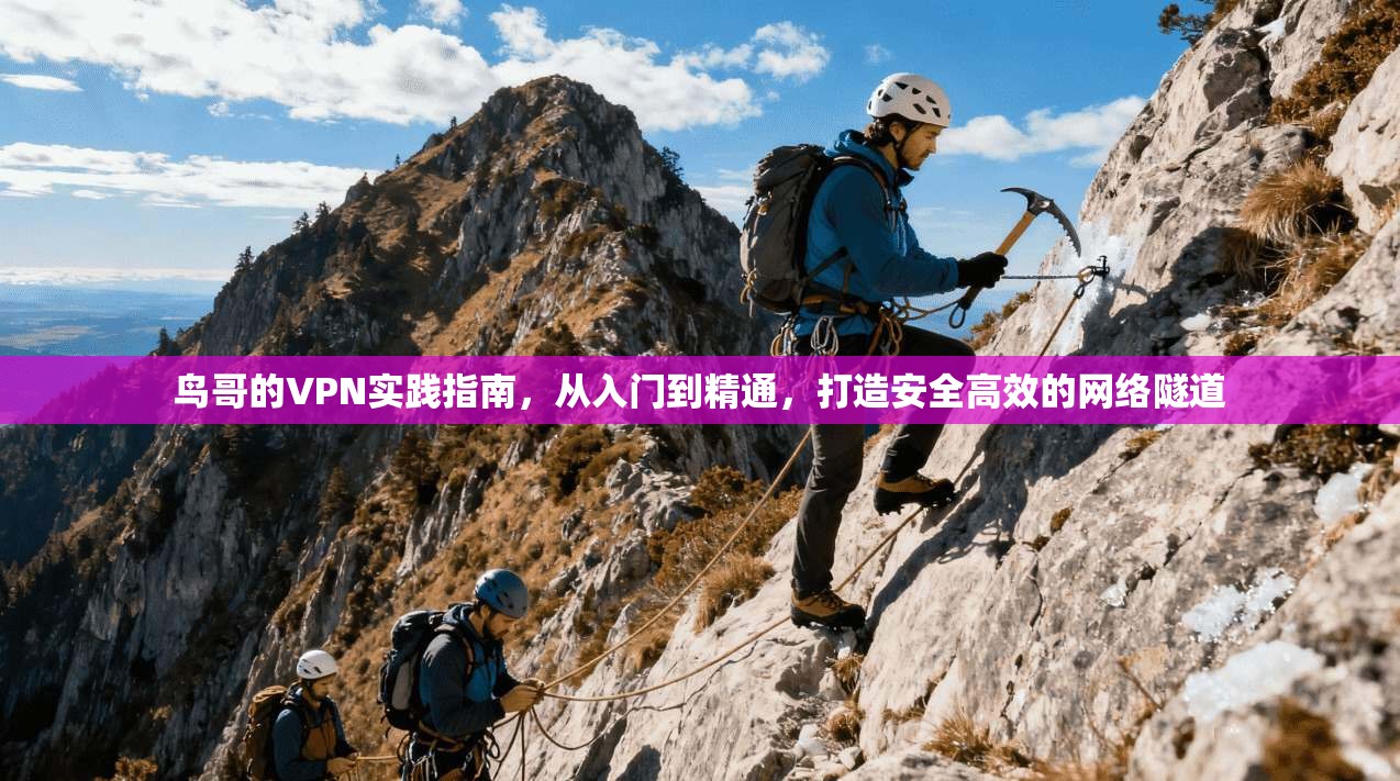 鸟哥的VPN实践指南，从入门到精通，打造安全高效的网络隧道  第1张