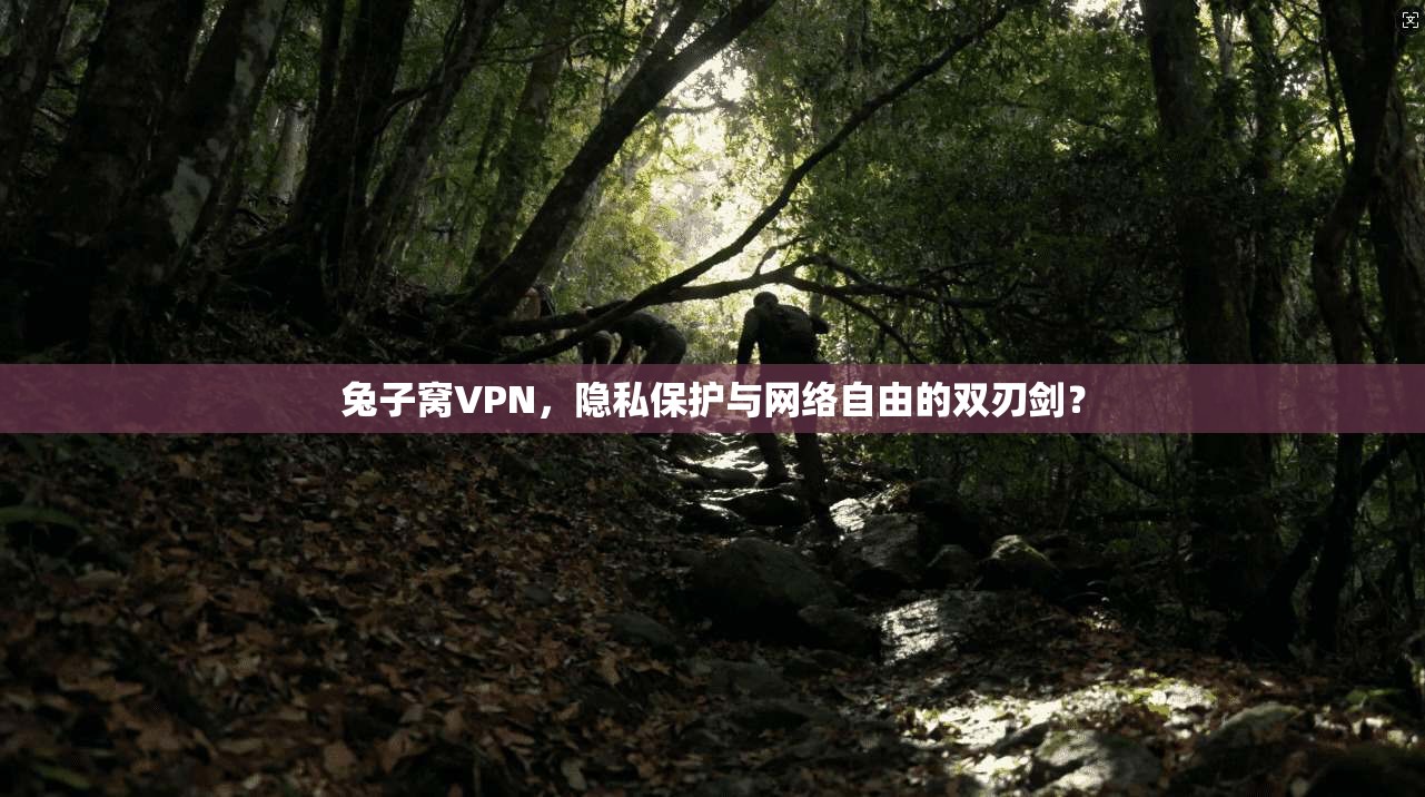 兔子窝VPN，隐私保护与网络自由的双刃剑？