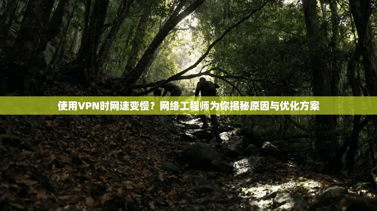 使用VPN时网速变慢？网络工程师为你揭秘原因与优化方案  第1张