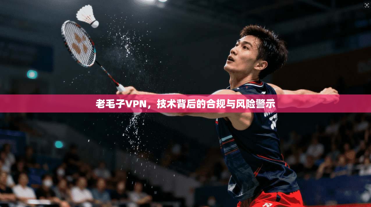 老毛子VPN,技术背后的合规与风险警示 第1张 老毛子VPN,技术背后的合规与风险警示 第1张