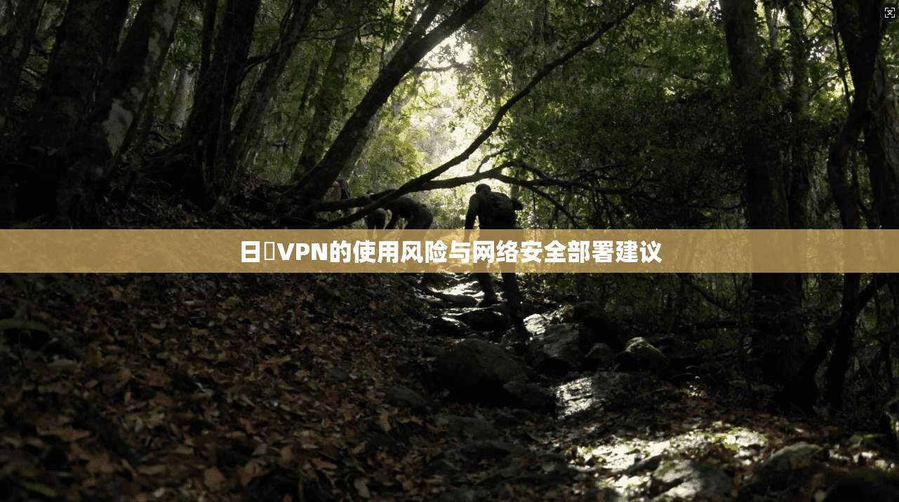 日払VPN的使用风险与网络安全部署建议