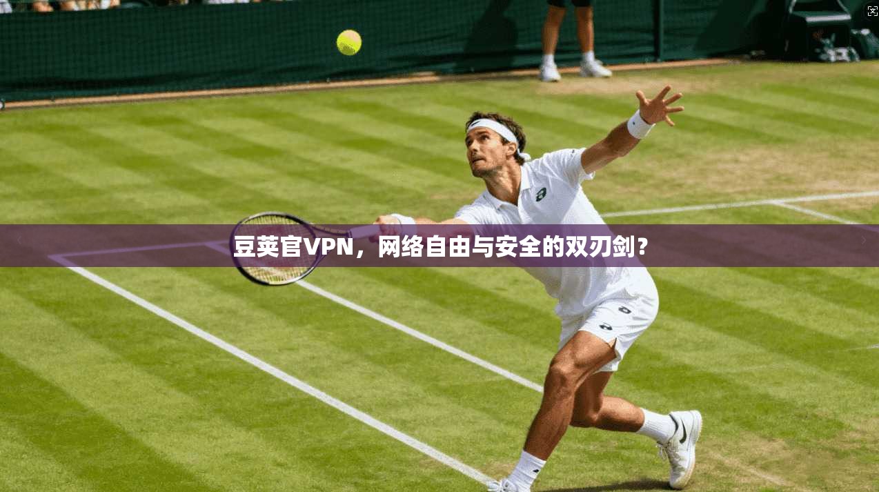 豆荚官VPN，网络自由与安全的双刃剑？