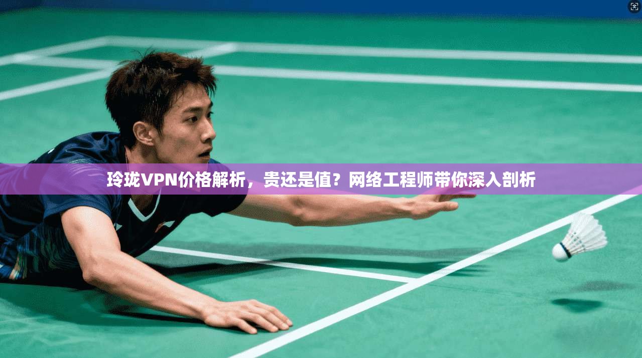 玲珑VPN价格解析，贵还是值？网络工程师带你深入剖析