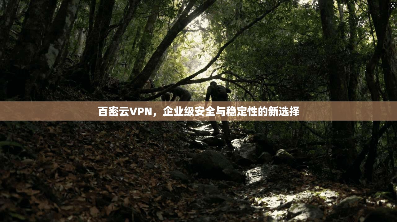百密云VPN，企业级安全与稳定性的新选择
