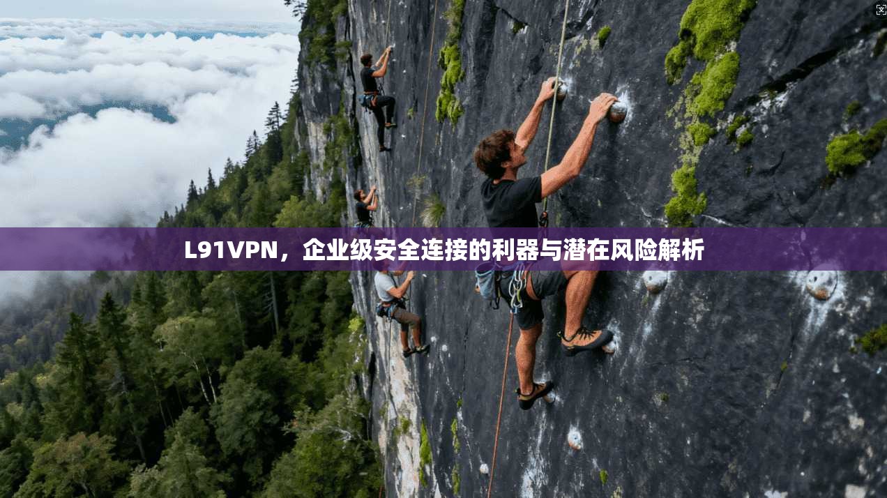 L91VPN，企业级安全连接的利器与潜在风险解析