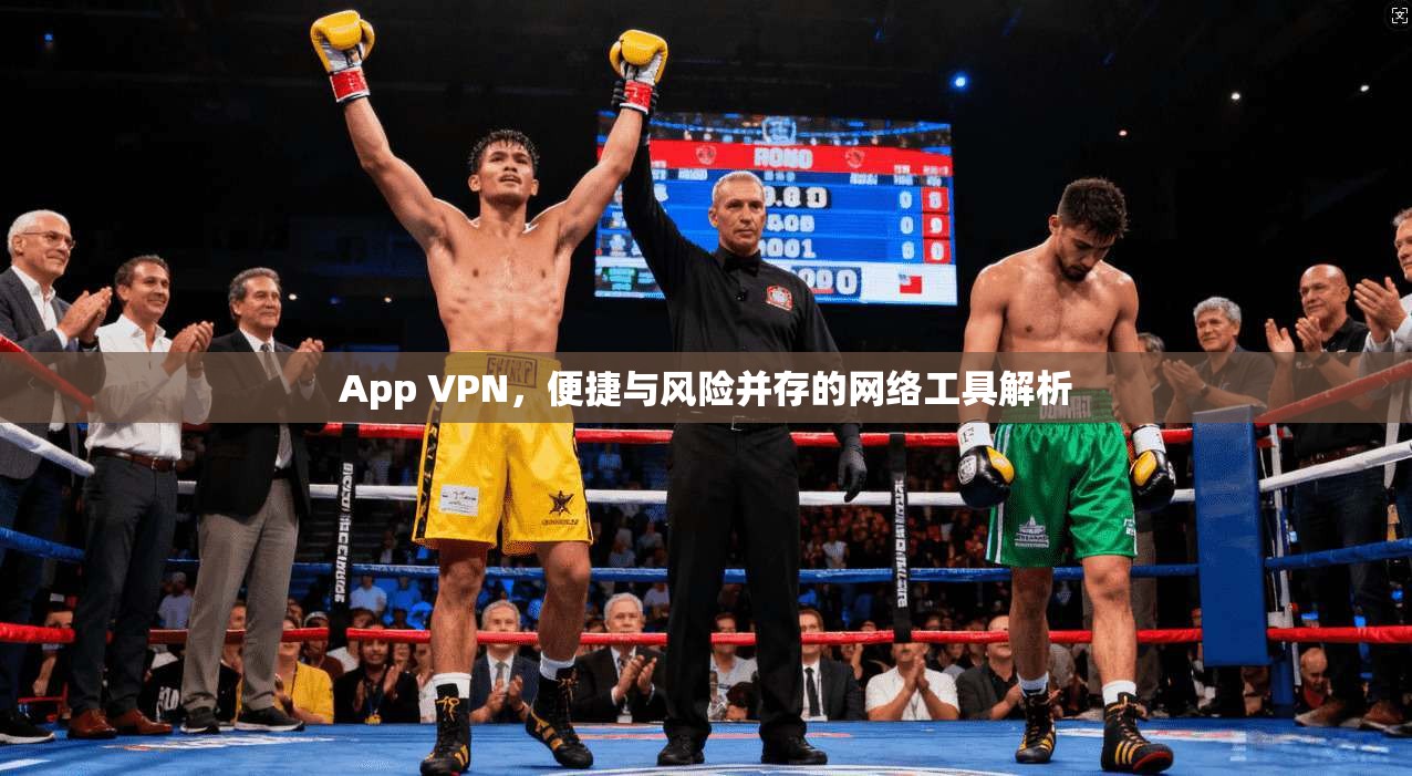 App VPN，便捷与风险并存的网络工具解析