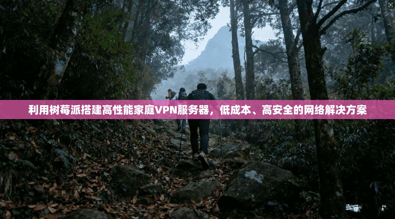 利用树莓派搭建高性能家庭VPN服务器,低成本、高安全的网络解决方案